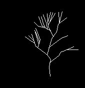 用CAD绘制落叶树的方法